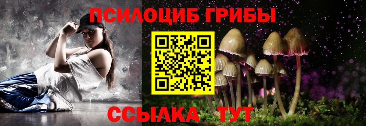 Абинск  Псилоцибиновые грибы MAGIC MUSHROOMS  Вход с VPN 