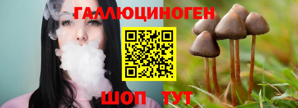 Псилоцибиновые грибы прущие грибы Абинск